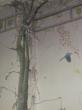 décor peint suite (glycines, arbre, structures métal et incrustations)
Fresque - Hôpital Sud Francilien- service Néonatalogie-900 m2 de décors peints