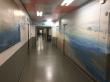 Fresque sur le voyage à travers les contes
Hôpital Necker- service gastro-entérologie-320 m2 de décors peints