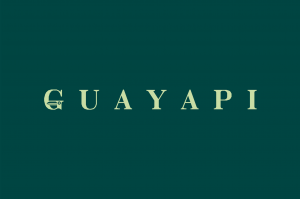 Logo de   GUAYAPI