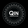 logo de   QIN EXPERIMENTALE 