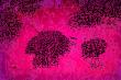 https://fineartamerica.com/featured/hortensia-feerique-f-atelier-m-egva.html
Atelier M.EGVA by Artiste M.EGVA. Création Originale de produits dérivés et vente de mes Créations d'Oeuvres d'Art Pictural, Photographique & Digital Art.