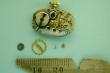 Mvt montre dame