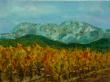 Sainte Victoire vignes (couteau)
30x40 