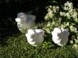 Mère dodo et ses deux poussins sur gazon et fond de bougainviliers