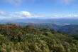  LA FORET EN BOLIVIE