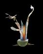 Titre: Narcisse