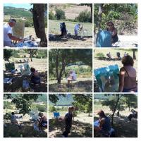 Actualité de Nadine Nacinovic Artiste Peintre Stage Peinture Paysage dans la Drome/3 jours 210€ Matériel inclus