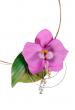 Le collier Dali orchidée rose pâle en cuir pleine fleur de vachette