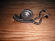 Escargot
