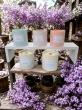 Le jardin des sens
 

Bougies parfumées florales :

jasmin, lilas, fleur de coton, sakura, monoïn