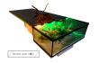 Table basse aquarium ALONG