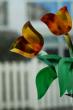 TULIPES - Décoration bevels sur double vitrage