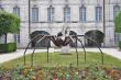 petite araignée à Commercy