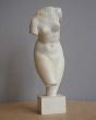vénus 
50x12x20