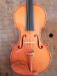violon