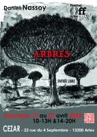 Exposition ARBRES , Daniel Nassoy artiste photographe-photograveur