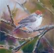 pastel sec sur papier spécifique pour le pastel. 20*20cm , tableau fini 30*30 cm
Fauvette tête noire, femelle dans le pommier