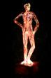 la séduction de nuit par Sculi.fr