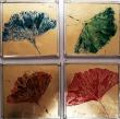 Empreintes de feuilles de ginkgo biloba.