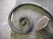 Volute