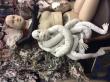 Atelier a Paris de 
www.rebecca-campeau.com