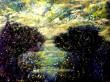 Nuit claire 90x70