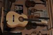 guitare Citronnier Concert luxe