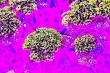 https://fineartamerica.com/featured/hortensia-feerique-d-atelier-m-egva.html
Atelier M.EGVA by Artiste M.EGVA. Création Originale de produits dérivés et vente de mes Créations d'Oeuvres d'Art Pictural, Photographique & Digital Art.