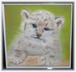 Je cherche un ami!!!!!!!!!!!!!!!!!!! Pastel