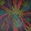 CANABIS
Huile sur toile 100 x 100 cm

Reproduction disponible sur commande