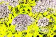 https://fineartamerica.com/featured/hortensia-feerique-c-atelier-m-egva.html
Atelier M.EGVA by Artiste M.EGVA. Création Originale de produits dérivés et vente de mes Créations d'Oeuvres d'Art Pictural, Photographique & Digital Art.