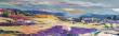  Acrylique sur toile de lin. format panoramique  1m50/50cm
Les vallons de Salettes dans la Drome Provençale.