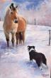 descriptionhommage à Sweettie ma border collie disparue le 22/12/2015 