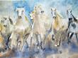 cavalcade
aquarelle 
46x61cm
150€