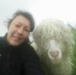 Aurélie, éleveuse de chèvres mohair