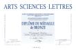 Diplôme de médaille de Bronze, arts sciences et lettres ( sculptures lumineuses )