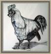 coq crayon sur papier 100g 