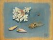 panneau bois 38X29.
acrylique.
thème: coquillages et corail sur fond bleu.
2016