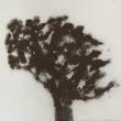 arbre 80x80cm