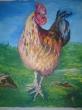 Le Coq - huile sur papier 