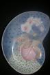 Vogue vogue Orchidée - Plat porcelaine