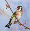 pastel sec sur papier spécifique pour le pastel. 20*20cm , tableau fini 30*30 cm
Chardonneret
