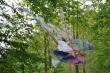  Titre:OVNI de Foret / Dimension maximale:110cm /Empreintes végétales assemblées sur une branche volante            