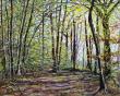 HUILE SUR TOILE : FORET COTE SUD