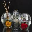 Lampes à huile/ diffuseurs de parfum avec roses tabilsées en inclusion.