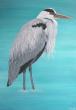 Heron Cendré - 100x65 - acrylique sur toile