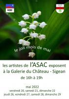 exposition de l'ASAC , evelyne castan 