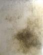 SANS TITRE
Format : 146/114 cm.
Médium : huile sur toile.
Date : 2014
Pigment : bistre, blanc de titane
Style : abstrait spirituel.
Technique : fondus et épaisseurs.
