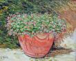 FLEURS EN POT 46X38