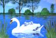 cygne 